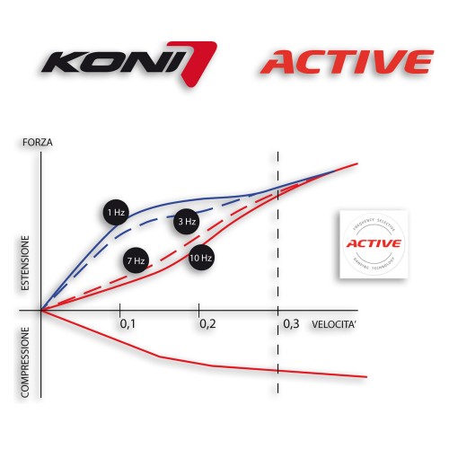 Grafico Active