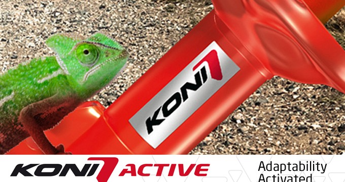Ammortizzatori Koni: ideali per un primo upgrade!