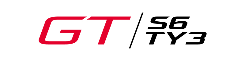 Naming GT S6 TY3