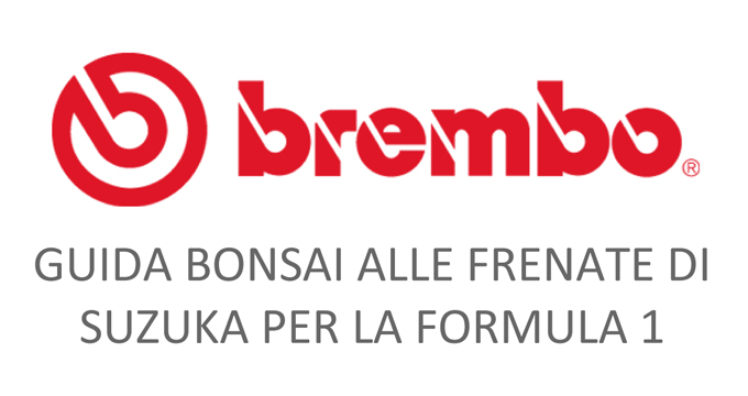 Evidenza spiega F1 Giappone 2022